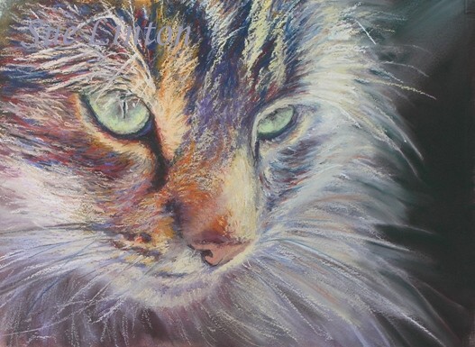 A Pastel painting of a cats face