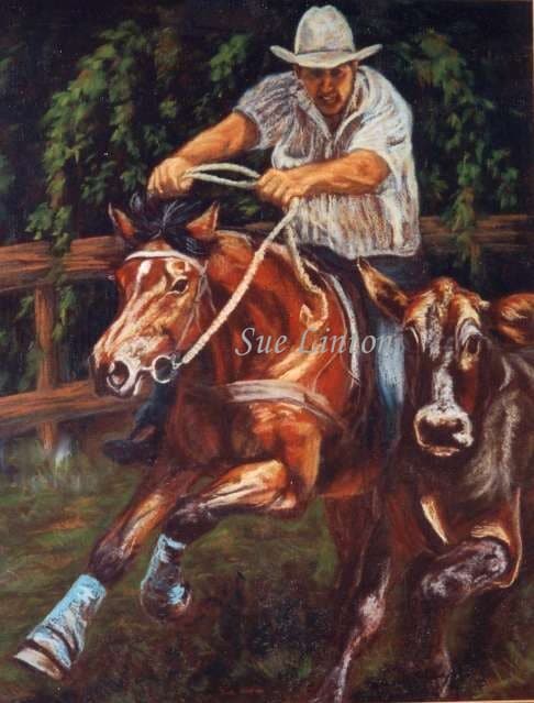 A portrait of a horse and rider campdrafting