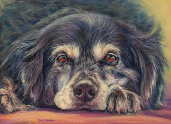 A pastel pet portrait of Shadow the ship's dog from the yacht Barinia of the TV show- Food and People of the Mediterranean 