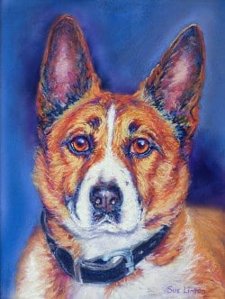 A colourful lifelike portrait of a dog painted from a photo