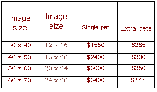 Gold Plus line gallery wrap prices