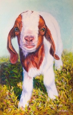 A pet portrait of a miniature goat painted from a photo