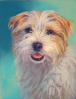 A pet portrait of a dog from photos