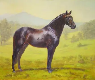 A retired dressage horse is shown in his prime with the property as a backdrop