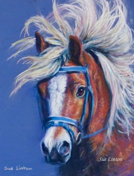 A colourful drawing of a gorgeous Halflinger pony