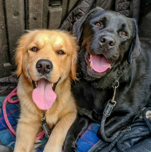 A mirror reversed cropped reference photo for Brooks and Julius