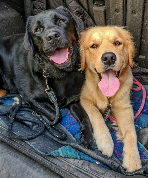 The original refernce photo for Brooks and Julius.